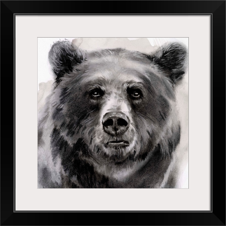 Bear Grin II