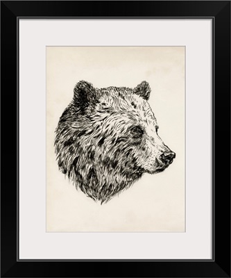 Bear Ink Sketch I