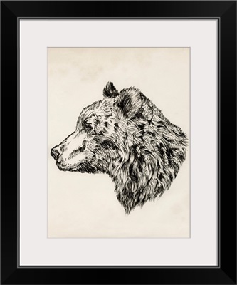 Bear Ink Sketch II