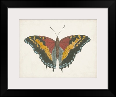 Beautiful Butterfly IV