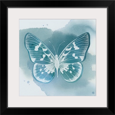 Beryl Butterfly III