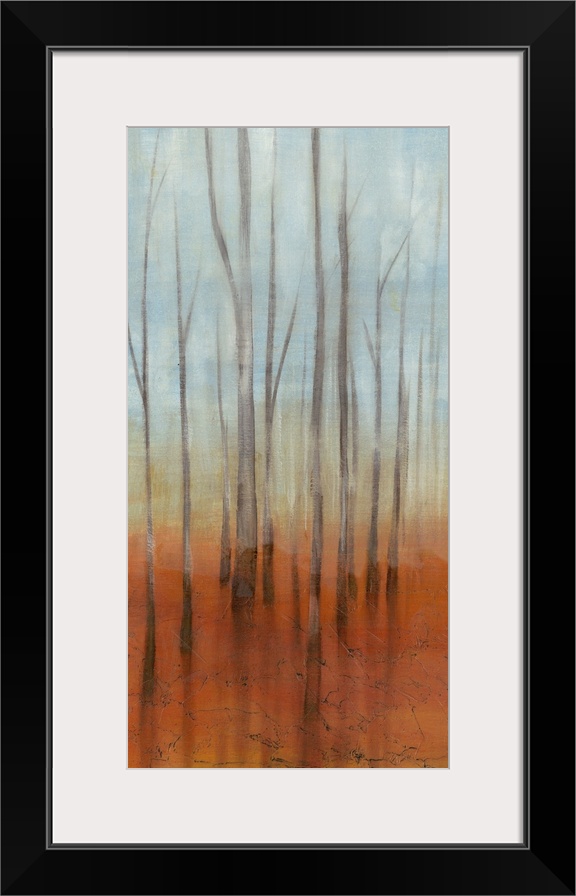 Birch Forest I