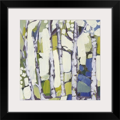 Birch In Summer I