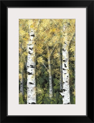 Birch Treeline I