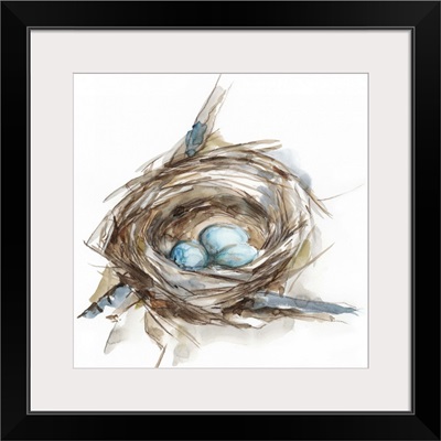 Bird Nest Study II