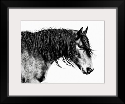 Black And White Horse Portrait III