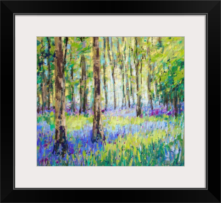 Bluebell Woods