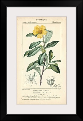 Botanique Study in Yellow I