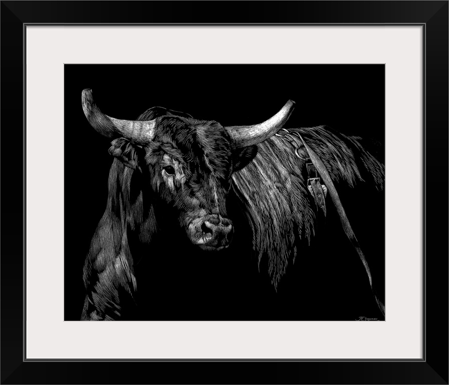 Horizontal artwork on a big wall hanging of a sketched brindle rodeo bull, looking forward, on a solid black background.