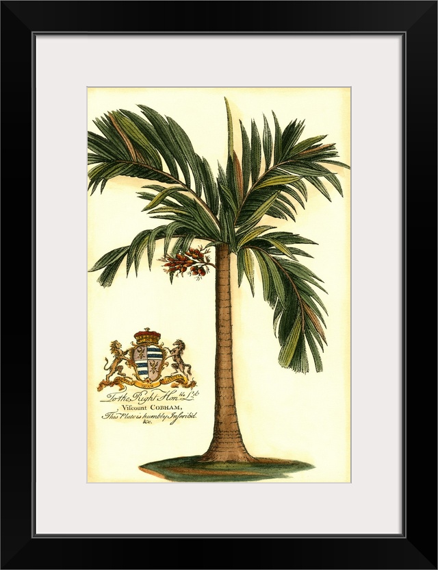 British Colonial Palm I