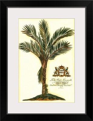 British Colonial Palm IV