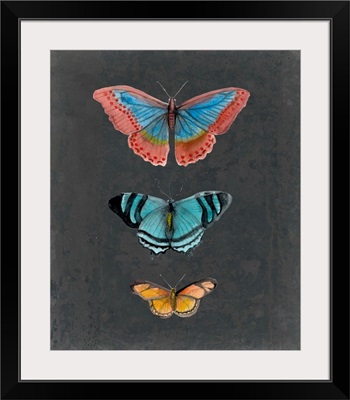 Butterflies on Slate III