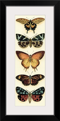 Butterfly Collector V