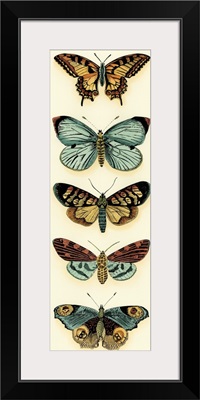 Butterfly Collector VI
