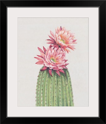 Cactus Blossom II