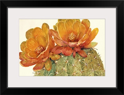 Cactus Blossoms II