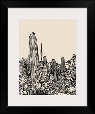 Cactus Drawing I