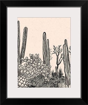 Cactus Drawing II