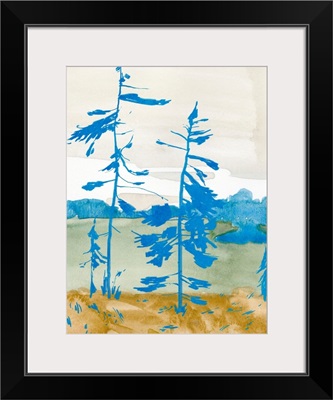 Cerulean Spruce I