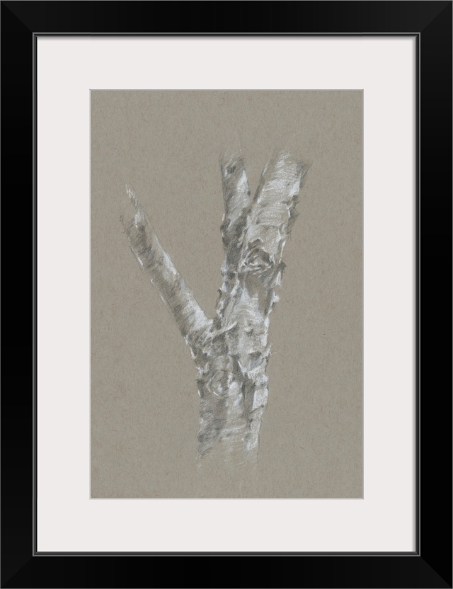 Chalk Birch Study II