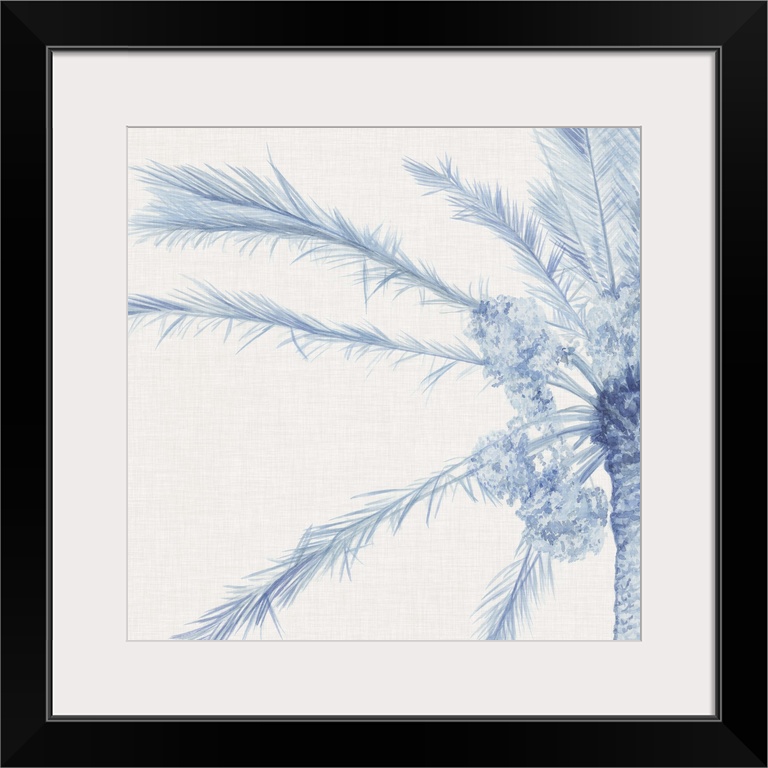 A blue palm split between two panels against a white background.