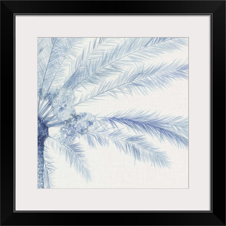 A blue palm split between two panels against a white background.