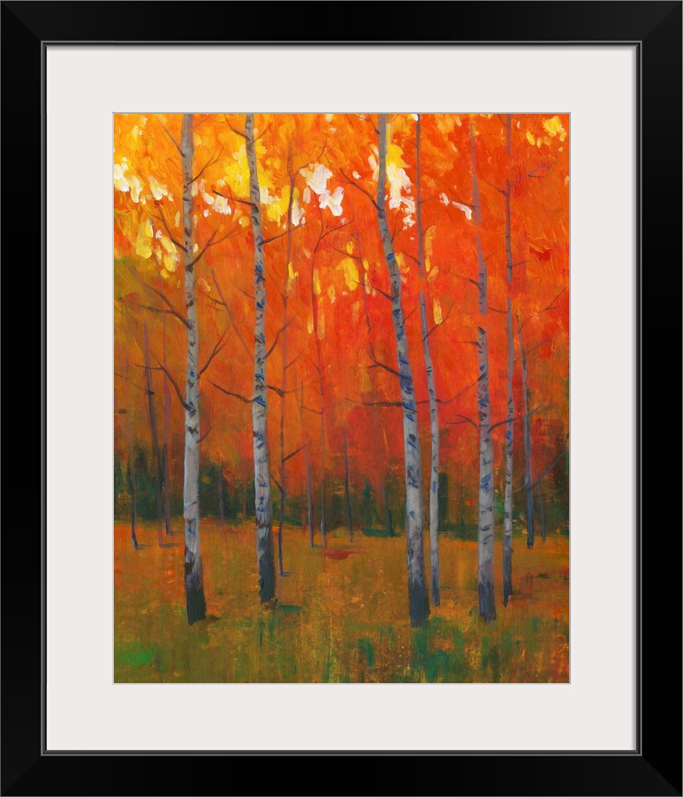 Contemporary painting of a forest of thin trees with leaves glowing in the sunset light in the fall.