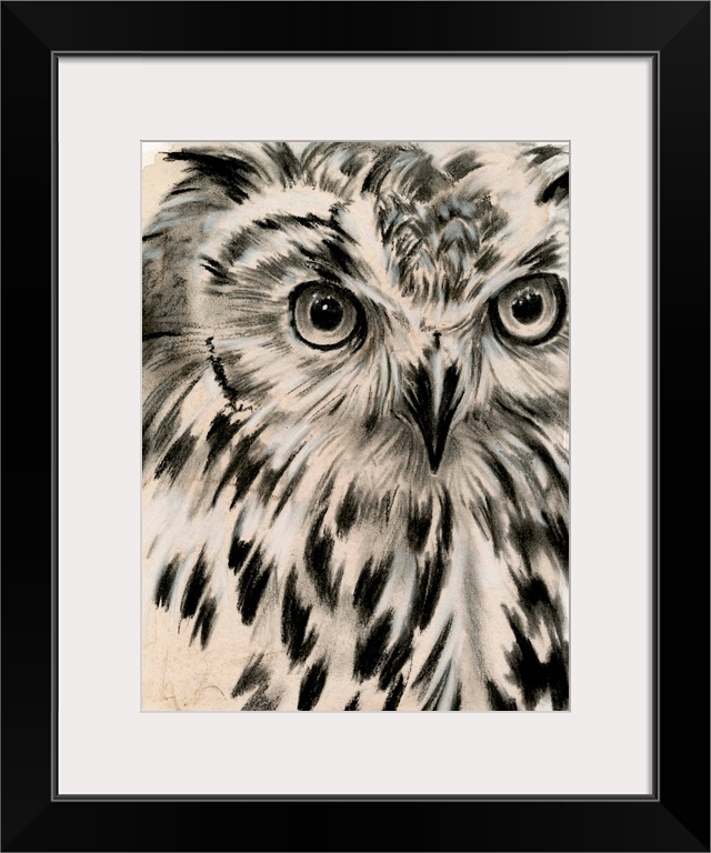 Charcoal Owl I