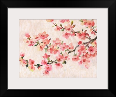 Cherry Blossom Composition I