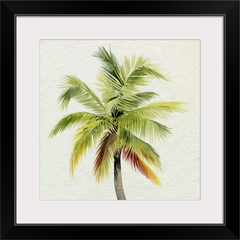 Coco Watercolor Palm I