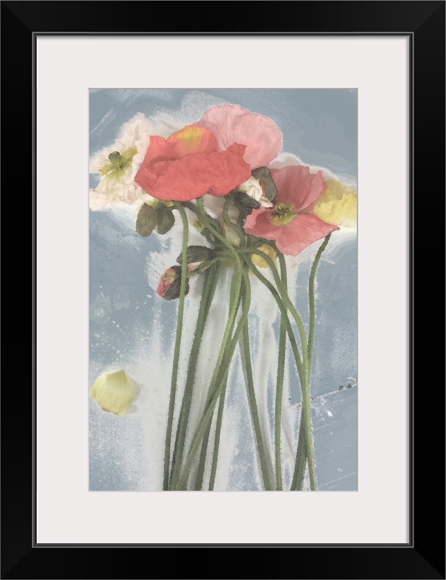 Painting of a bunch of tall-stemmed poppies in shades of coral, peach and yellow against a steel blue background