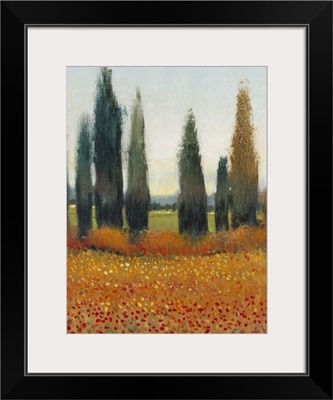 Cypress Trees I