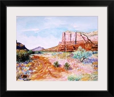 Desert In Spring