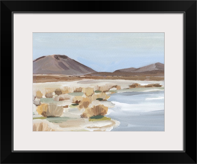 Desert Oasis Study II