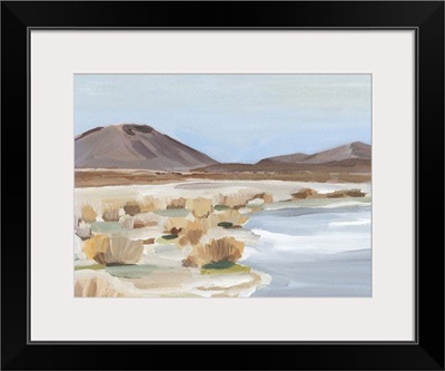 Desert Oasis Study II