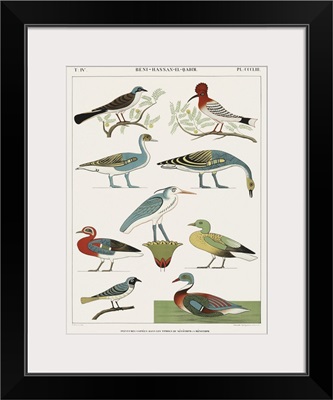 Egyptian Bird Charts I