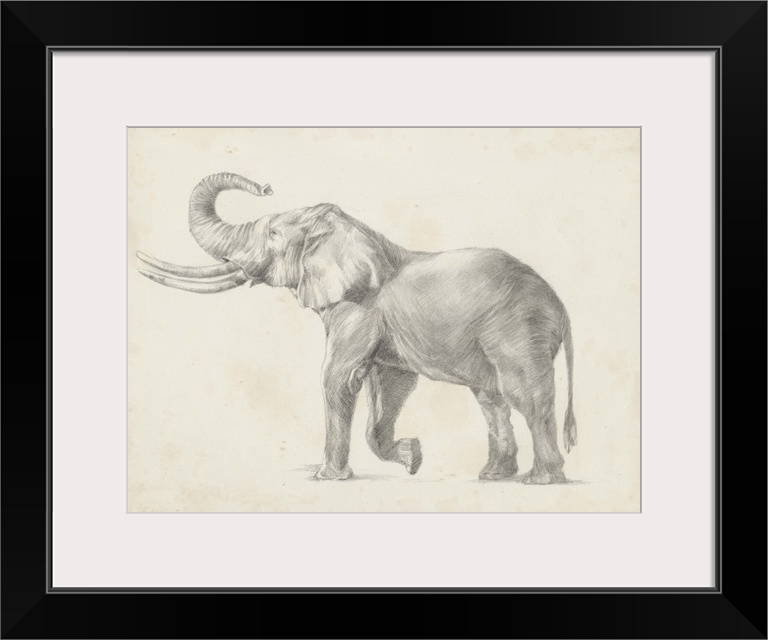 Pencil drawing of an elephant on a parchment background.