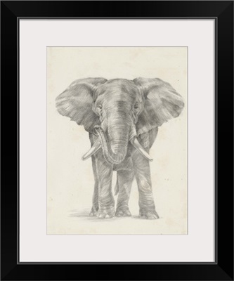 Elephant Sketch II