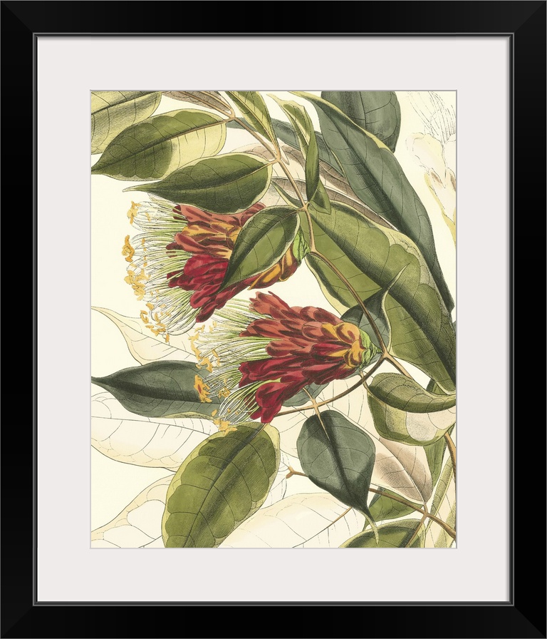 Vintage stylized botanical illustration.