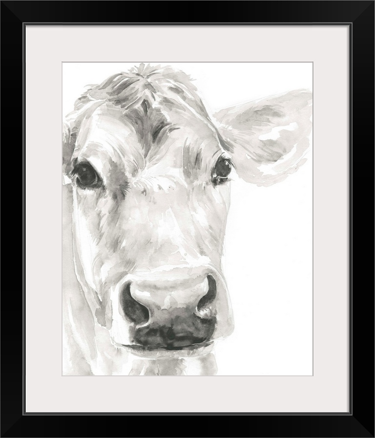 Watercolor portrait of a cow in gray.