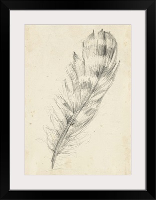 Feather Sketch II