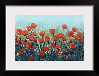 Field Of Red Poppies II