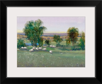 Field of Sheep II