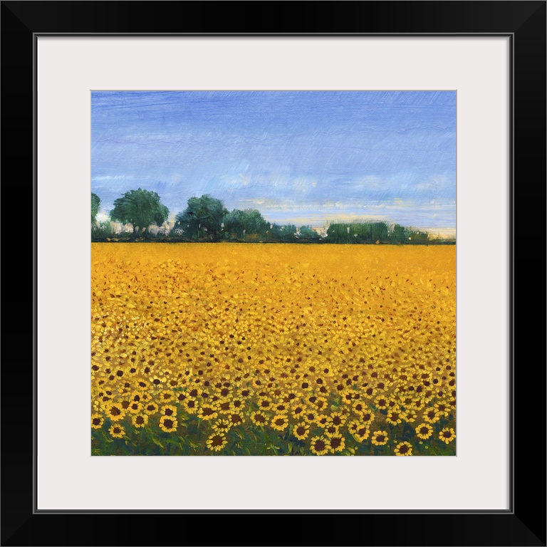 Contemporary painting of a field of yellow sunflowers under a blue sky.