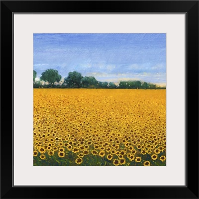 Field of Sunflowers I