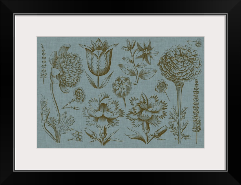 This line illustration has a vintage feeling and features various plants and their blossoms over a blue linen background.
