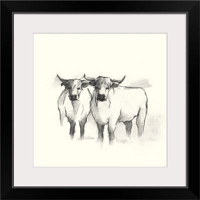 Folksie Highland Cattle II