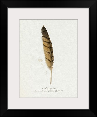 Found Feather III