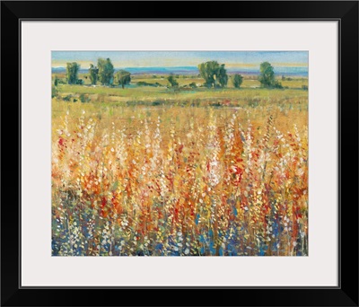 Gold and Red Field II