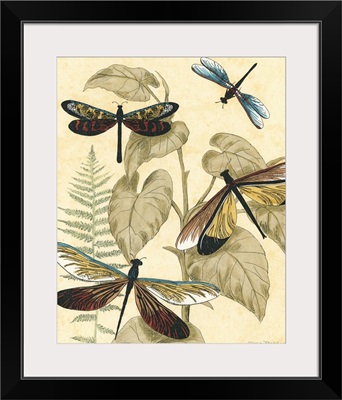 Graphic Dragonflies in Nature II